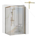 Duschkabine bodengleiche Dusche Schiebetür Solar gold Klarglas transparent 100x80x195 cm + Duschabzieher golden (id: 1513)