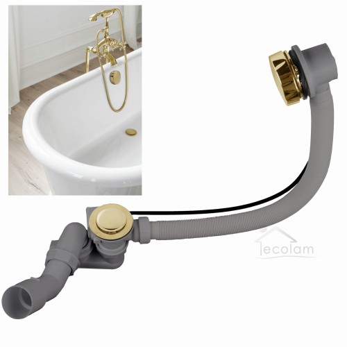 GoldenHauptshop.jpg