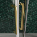 Duschkabine Lazuro 80x80 x200 cm Easy Clean Viertelkreis gold gebürstet (id: 2233)