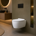 Hänge WC DOTO wandhängend 48 / 54 cm spülrandlos rimless WC Schüssel weiß Sitz