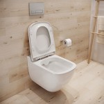 WC Toilette Hängend Caspia Spüllrandlos CLEAN ON Tiefspüller Soft Close